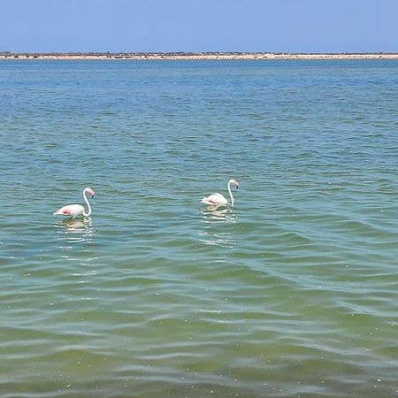 La Manga Del Mar Menor Los Miradores Block 1 5Th Floor G มูร์เซีย ภายนอก รูปภาพ