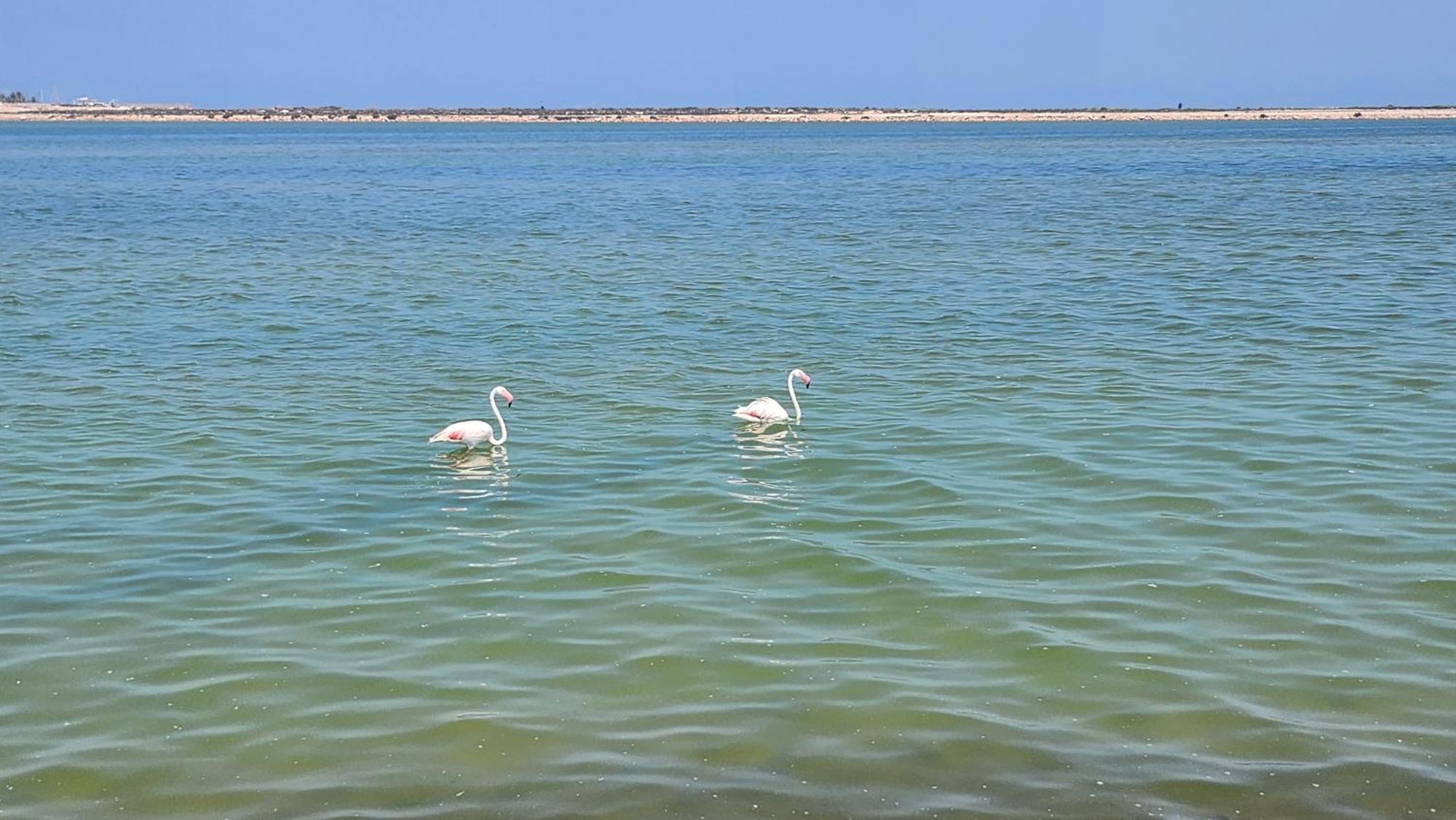 La Manga Del Mar Menor Los Miradores Block 1 5Th Floor G มูร์เซีย ภายนอก รูปภาพ
